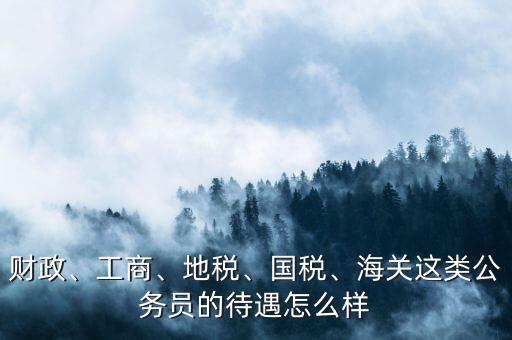 財政、工商、地稅、國稅、海關這類公務員的待遇怎么樣