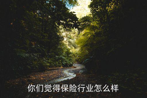 你們覺(jué)得保險(xiǎn)行業(yè)怎么樣