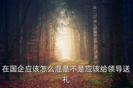 在國(guó)企應(yīng)該怎么混是不是應(yīng)該給領(lǐng)導(dǎo)送禮