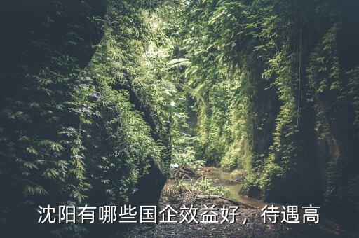 沈陽(yáng)有哪些國(guó)企效益好，待遇高