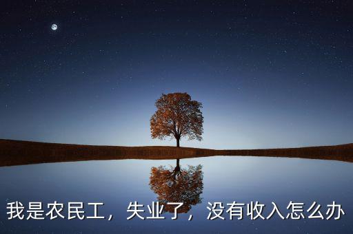 我是農(nóng)民工，失業(yè)了，沒(méi)有收入怎么辦