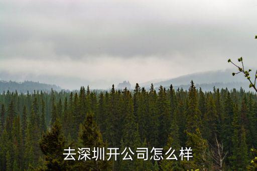 深圳九有公司怎么樣,去深圳開公司怎么樣