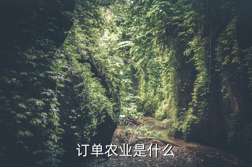 訂單農(nóng)業(yè)是什么