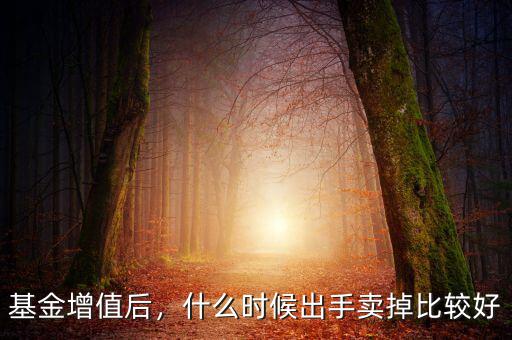 持有B基金什么時間出手劃箅,基金持有多長時間可以賣