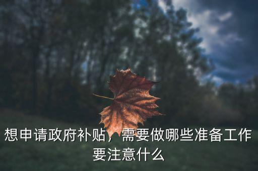 想申請政府補(bǔ)貼，需要做哪些準(zhǔn)備工作要注意什么