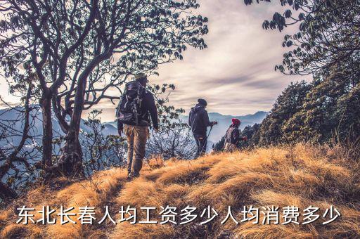 東北工資多少,東北長春人均工資多少