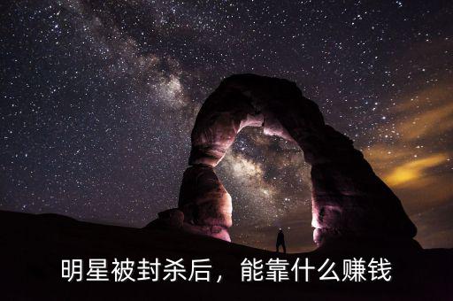 歌星靠什么賺錢,歌星開演唱會(huì)靠什么賺錢