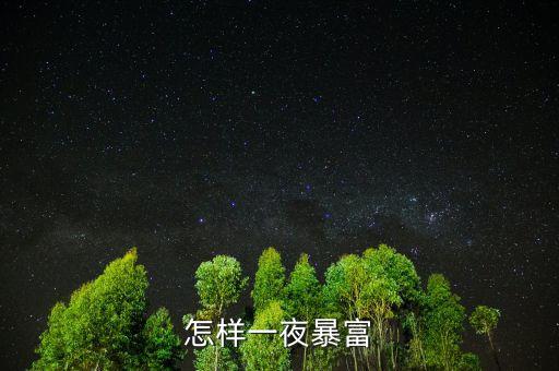 怎樣一夜暴富