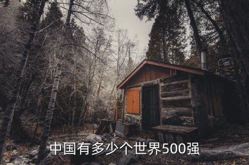 中國有多少個世界500強(qiáng)