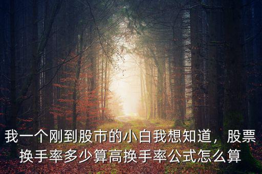 股票換手率怎么計(jì)算,股票換手率怎么計(jì)算的