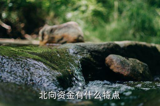 長期資金的特點(diǎn)是什么,還是短期資金主導(dǎo)