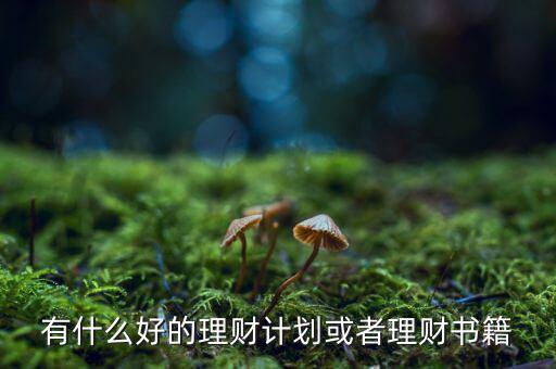 有什么好的理財(cái)計(jì)劃或者理財(cái)書籍