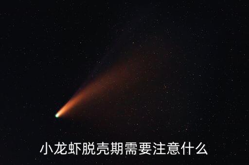 大閘蟹最后一次蛻殼要注意什么,該注意些什么