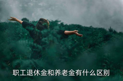 職工退休金和養(yǎng)老金有什么區(qū)別