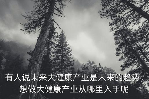 有人說未來大健康產業(yè)是未來的趨勢，想做大健康產業(yè)從哪里入手呢