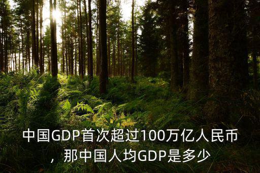 中國GDP首次超過100萬億人民幣，那中國人均GDP是多少