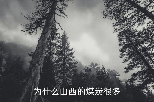 為什么山西的煤炭很多