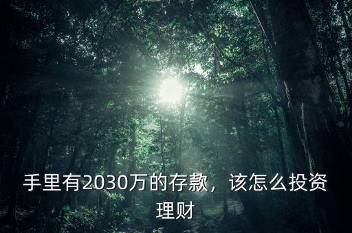 手里有2030萬的存款，該怎么投資理財