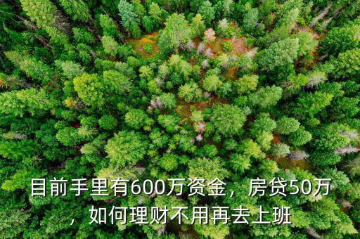 目前手里有600萬資金，房貸50萬，如何理財(cái)不用再去上班