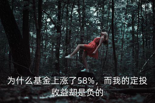 為什么基金上漲了58%，而我的定投收益卻是負(fù)的