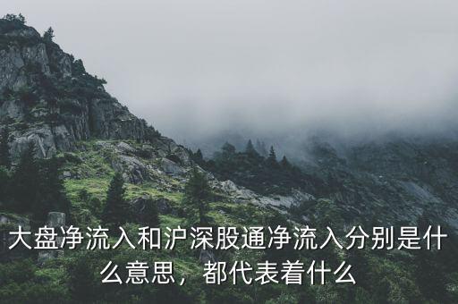 滬股通凈流入代表什么,都代表著什么