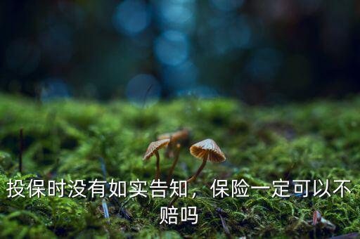 投保時(shí)沒有如實(shí)告知，保險(xiǎn)一定可以不賠嗎