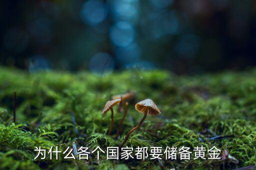 為什么各個國家都要儲備黃金