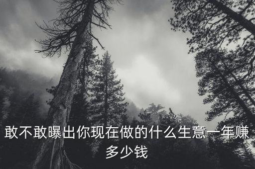 敢不敢曝出你現(xiàn)在做的什么生意一年賺多少錢