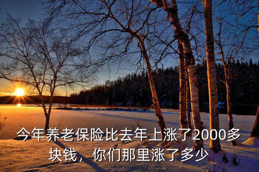 今年養(yǎng)老保險(xiǎn)比去年上漲了2000多塊錢(qián)，你們那里漲了多少