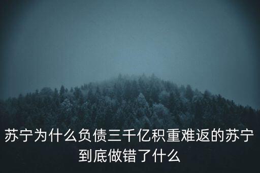 蘇寧為什么負債三千億積重難返的蘇寧到底做錯了什么