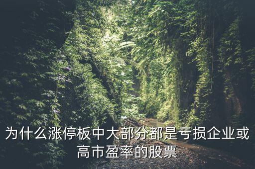 為什么漲停板中大部分都是虧損企業(yè)或高市盈率的股票