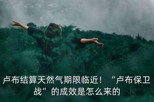 盧布保衛(wèi)戰(zhàn)是什么導(dǎo)致的,盧布保衛(wèi)戰(zhàn)的成效是怎么來的