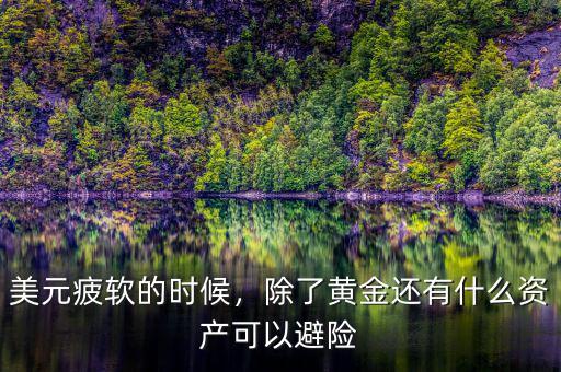 美元疲軟的時候，除了黃金還有什么資產(chǎn)可以避險