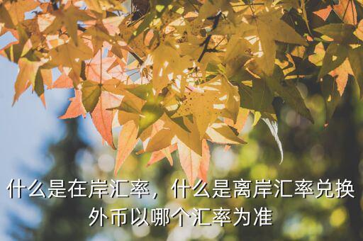 什么是在岸匯率，什么是離岸匯率兌換外幣以哪個匯率為準(zhǔn)