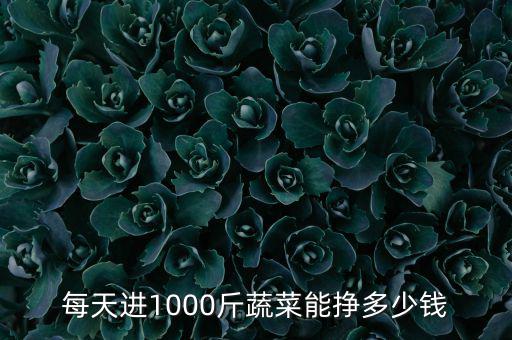 每天進(jìn)1000斤蔬菜能掙多少錢