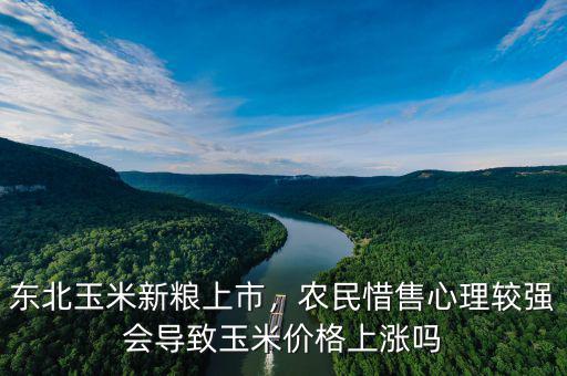 東北玉米新糧上市，農(nóng)民惜售心理較強(qiáng)會導(dǎo)致玉米價格上漲嗎