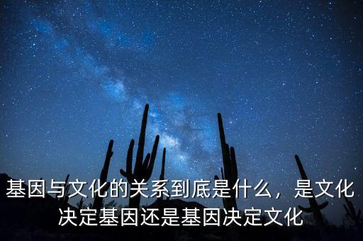 基因與文化的關系到底是什么，是文化決定基因還是基因決定文化