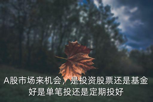 單筆投資是什么意思,是投資股票還是基金好