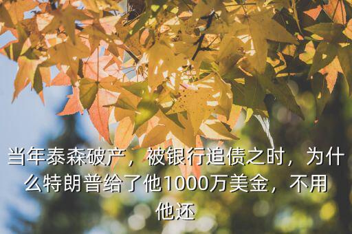 當(dāng)年泰森破產(chǎn)，被銀行追債之時(shí)，為什么特朗普給了他1000萬(wàn)美金，不用他還