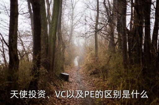 天使投資、VC以及PE的區(qū)別是什么