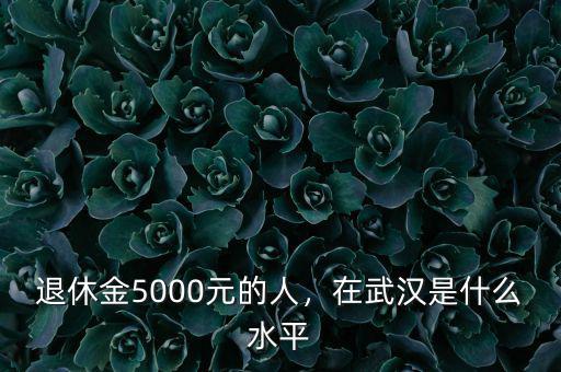 退休金5000元的人，在武漢是什么水平