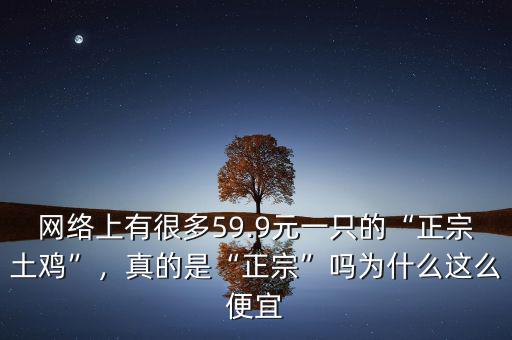 網(wǎng)絡上有很多59.9元一只的“正宗土雞”，真的是“正宗”嗎為什么這么便宜