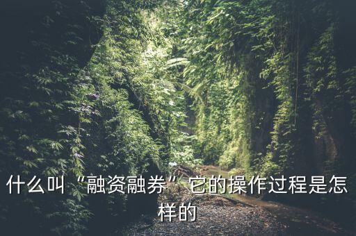 什么叫“融資融券”它的操作過程是怎樣的