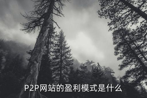 P2P網(wǎng)站的盈利模式是什么