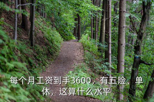 每個月工資到手3600，有五險、單休，這算什么水平