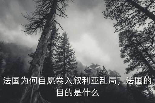 法國為何自愿卷入敘利亞亂局，法國的目的是什么