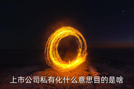 當(dāng)當(dāng)網(wǎng)私有化什么意思,上市公司私有化什么意思