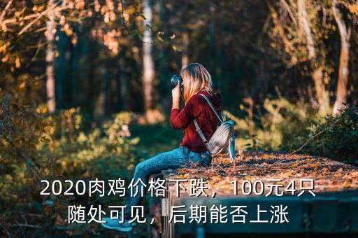 2020肉雞價格下跌，100元4只隨處可見，后期能否上漲