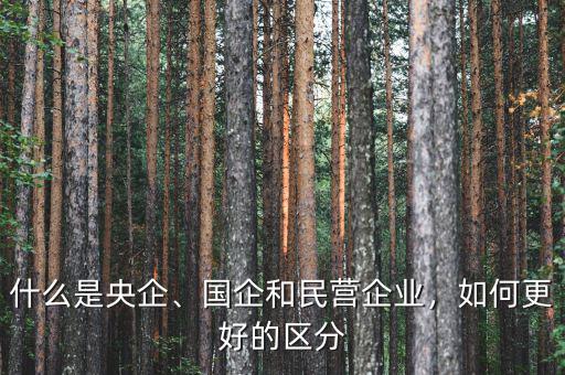 什么是央企、國企和民營企業(yè)，如何更好的區(qū)分