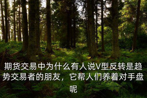 期貨交易中為什么有人說V型反轉是趨勢交易者的朋友，它幫人們養(yǎng)著對手盤呢